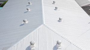 industrial roof painting
