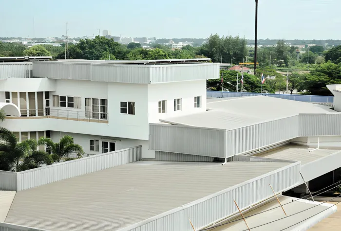 metal roof painting