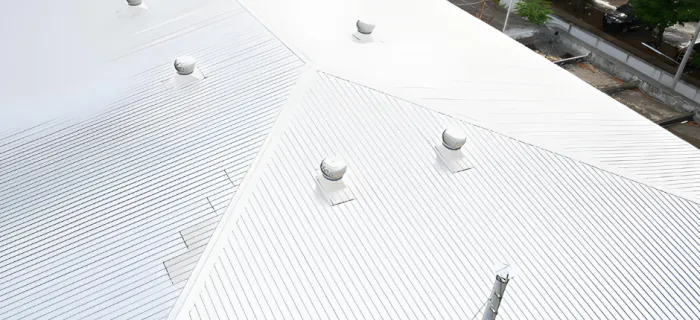 warehouse roof painting